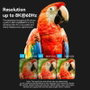 Vention Adaptador HDMI 8K AIUH0 Hembra a Hembra Azul